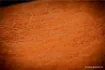 Immagine di Asciugamano Guru Microfibra Towel