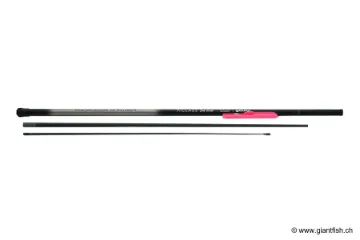 Guru A-Class Whip with Rig