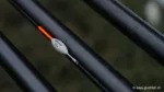 0.1 g