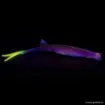 Bild von Fishing Brothers Pelaga Finesse 24 cm & Tête Plombée 45 g