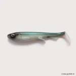 #C010 Baltic Herring