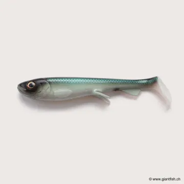 Wolfcreek Shad 2.0 - 20cm / 75g