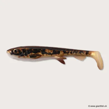 Wolfcreek Shad 2.0 - 20cm / 75g