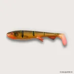 #C071 Peacock Bass