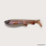#C019 Rainbow Trout (UV)