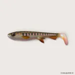 #C072 Smolt (UV)