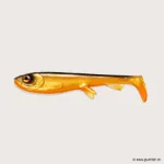 #C008 Dirty Roach