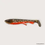 #C073 Arctic Char