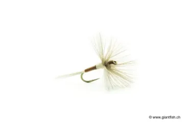 Mouche Devaux Spent 245C