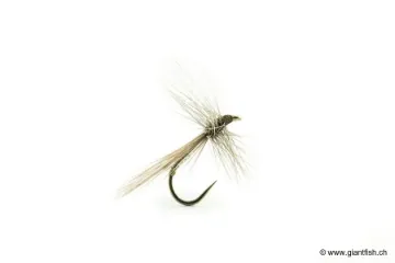 Mouche Devaux Terrestre Perlide 412