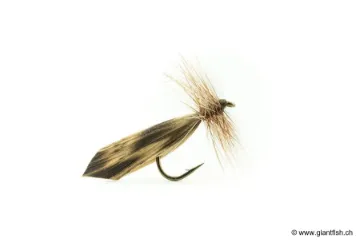 Mouche Devaux Sedge Tricopthère 422