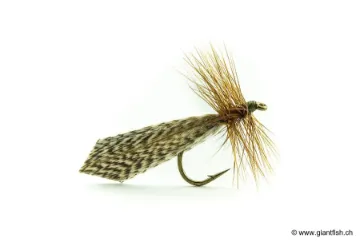 Mouche Devaux Sedge Tricopthère 426