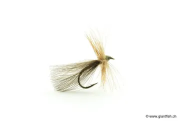Mouche Devaux Sedge Tricopthère 434C