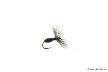 Mouche Devaux Terrestre 527