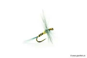 Mouche Devaux Sèche 804