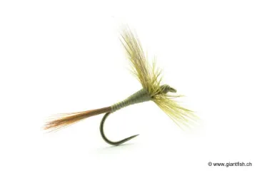 Mouche Devaux Sèche 841