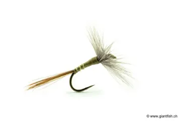 Mouche Devaux Sèche 911