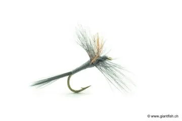 Mouche Devaux Sèche 919