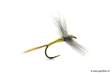 Mouche Devaux Sèche A4