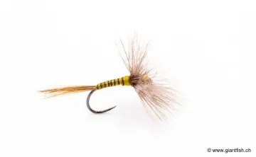 Mouche Devaux Sèche A4QC