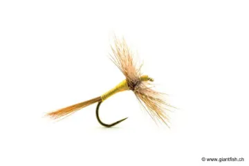 Mouche Devaux Sèche AK4