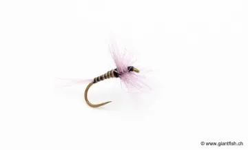 Mouche Devaux Sèche AK5