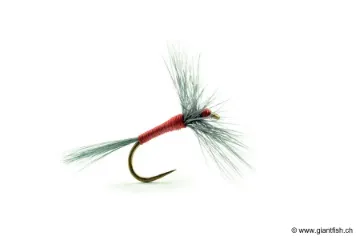 Mouche Devaux Sèche B15