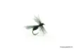 Bild von Devaux terrestrische Fliege B527C