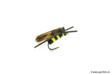 Mouche Devaux Terrestre Guêpe Bee 01