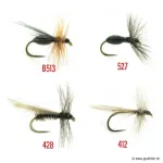 Fourmis