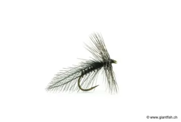 Mouche Devaux Sedge Tricopthère Carlite