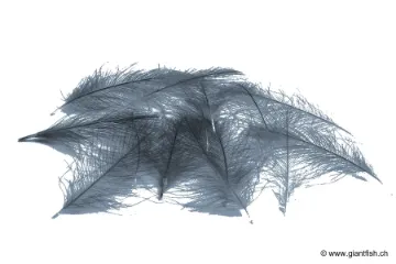 Cul de Canard Devaux CDC SELECT DVX - 1 g