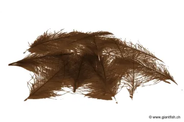 Cul de Canard Devaux CDC SELECT DVX - 1 g