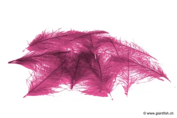 Cul de Canard Devaux CDC SELECT DVX - 1 g