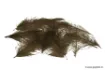 Picture of Devaux CDC SELECT Cul de Canard (CDC) - 1 g