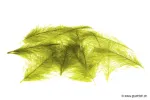 Jaune (07)