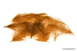 Orange Fluo