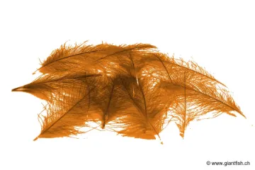 Cul de Canard Devaux CDC SELECT