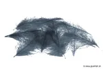 Gris Bleu Foncé