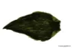 Bild von Hahnenhals Devaux G3 DVX