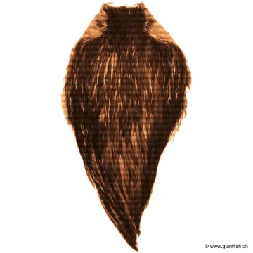 Cou de Coq Devaux Top Grade DVX