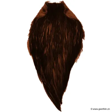 Cou de Coq Devaux Top Grade DVX