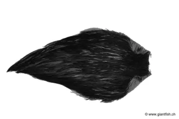 Cou de Coq Devaux Top Grade Teint DVX