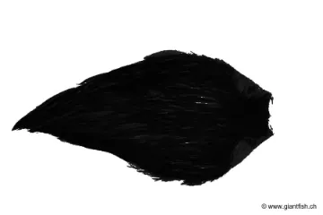 Cou de Coq Devaux Top Grade Teint DVX