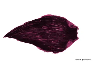 Cou de Coq Devaux Top Grade Teint DVX