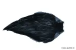 Blue Dun