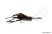 Immagine di Mosca Devaux Terrestre CRICKET