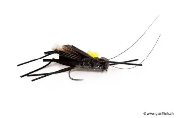 Mouche Devaux Terrestre CRICKET