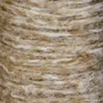Chinchilla Beige