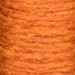 Chinchilla Orange